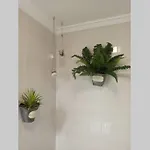 Apartament Centrico En Con Acceso A